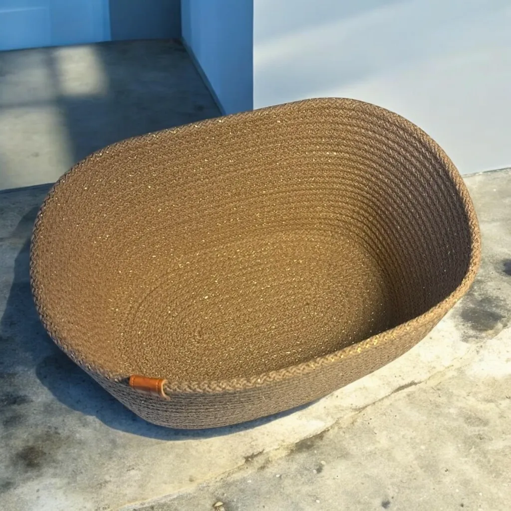 WhatsApp Image 2026-01-13 at 14.24.08 (2).webp