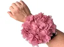 WhatsApp Image 2026-08-09 at 23.20.44.webp