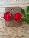 IMG_6517.webp