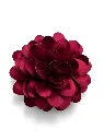 WhatsApp Image 2026-08-10 at 00.25.49 (20).webp