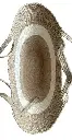 IMG_5037.webp