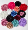 Flores Modula