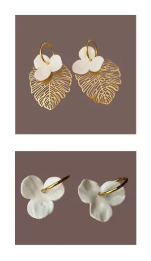 Orchidea Duo